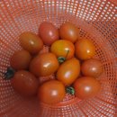 즘골마을 이미지