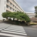 부산대학교 정문 우측 네이버블로그