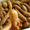 삼부자농장 이미지