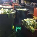 (사)희망의언덕 이미지