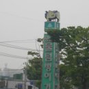 용현동물텀벙이거리 이미지