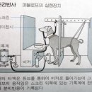 사회복지사 1급 이론 - 인간행동과 사회환경 이미지