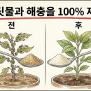 개미농장 네이버블로그