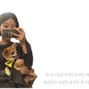 미우츠와