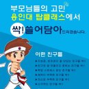 용인대 탑 태권도장 이미지