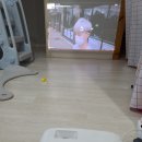 솔로몬기술단