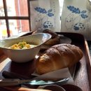 도토리(dotori) 이미지