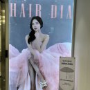 디어드헤어 분당미금점 | 미금역 미용실 헤어 다이아 분당 미금 스타점 새치 염색 만족 후기