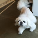 우람동물병원 이미지