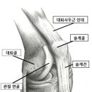 바로선한의원 네이버블로그