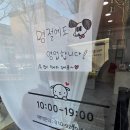 뽀송하개 애견미용 이미지