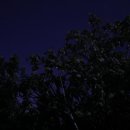 반딧불 | 필리핀보홀위치 반딧불투어 후기 가격 준비물