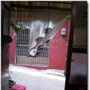 중앙동243 이미지