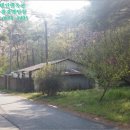 성주4리마을회관 이미지