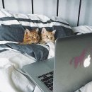 삼촌유통 이미지