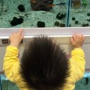 최진소아청소년과의원 이미지