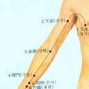 9.수궐음심포경 이미지