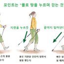 전신 걷기 운동 노르딕 워킹 이미지