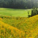 뉴스프링빌골프장 이미지