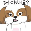 동물병원 위드 이미지