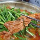 아지파파 이미지