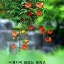 유리섬박물관 티스토리