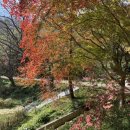 월명1길 이미지