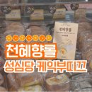 현대유통 | [대전] 성심당 천혜향롤 후기(성심당 천혜향 롤케이크 파는곳/유통기한/가격/종류/웨이팅)