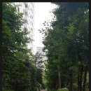 민락동 청구 1차아파트 후문 이미지