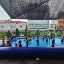 분당초등학교 이미지