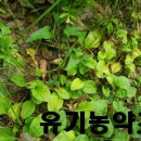 소태실천 이미지