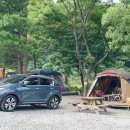 대관령솔내음오토캠핑장 이미지