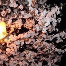 하동문화예술회관 이미지