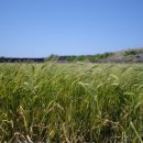 오봉리경로당 이미지