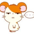 더빡센 이미지