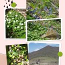 버스정류장 07-207 이미지