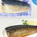등푸른생선구이 | [아라찬] 국산 고등어 구이_등푸른 생선 냉동 보관 간편 식품_내돈내산_솔직후기