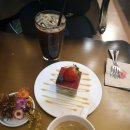 솔지오