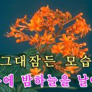 MR -깊은 밤을 날아서(이문세) 이미지