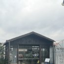 그린꽃식물원 | 제주 아기랑 가볼만한 곳 성산 표선 필수 코스, 무료 실내 식물원 '알로에숲' 솔직 후기