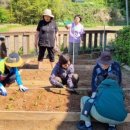 여자만마을 이미지