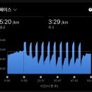 정왕체육공원1 이미지