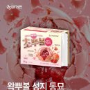 GS25 유신림마음 | GS25 편의점 신상 초뿌볼 딸기복숭아 내돈내산 솔직후기