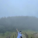 삼포휴게소 이미지