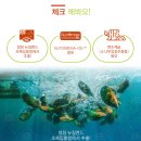 엔조제놀