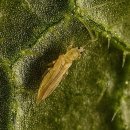 ㈜킨섹트 이미지