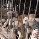 강인한농장 이미지