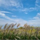 순천만습지 쉼터 화장실 이미지