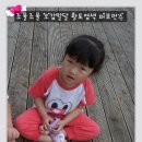 조물조물 이미지