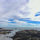 공석2020 이미지